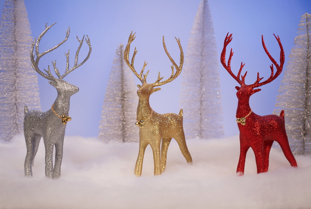 Raindeer 3D model