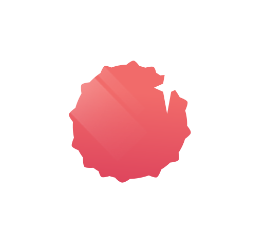 logo_lychee_Premium_V2 Lychee Slicer Premium